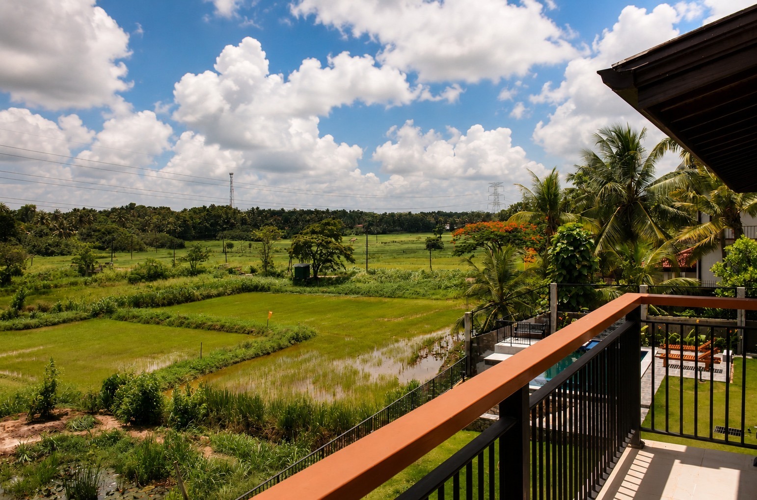 Peaceful paddy field view